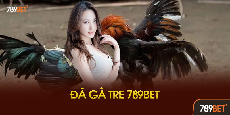 Lịch Thi Đấu Đá Gà Tre 789BET